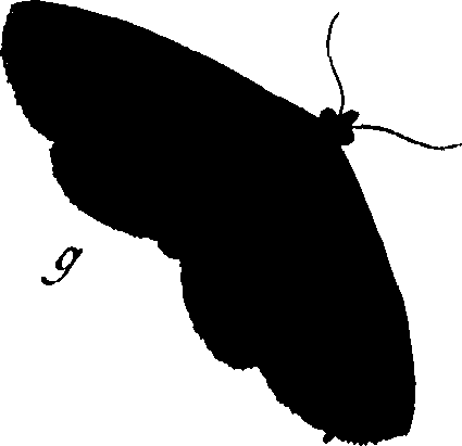 114/114760250000790_0.png
