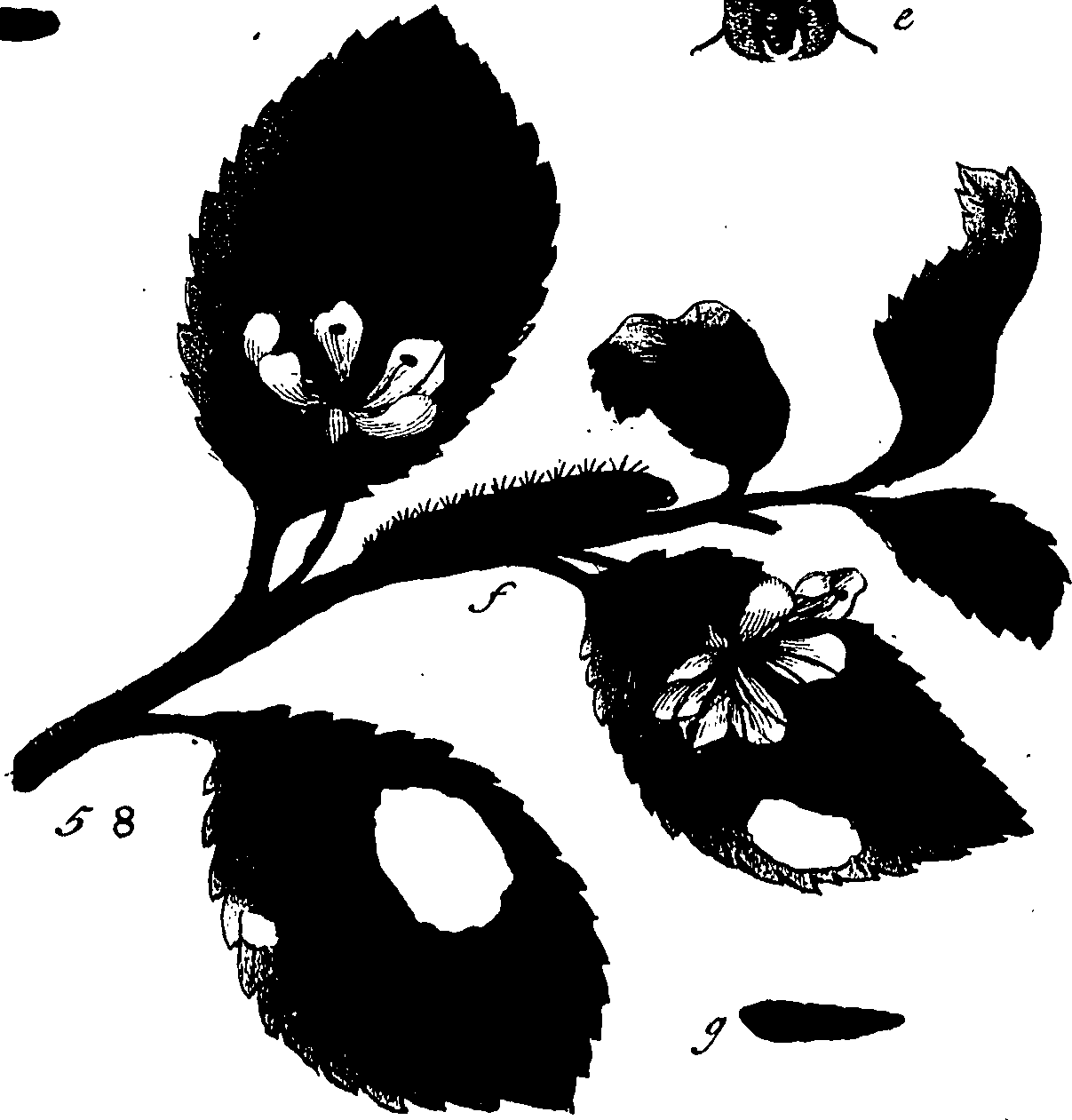 114/114760250000830_2.png