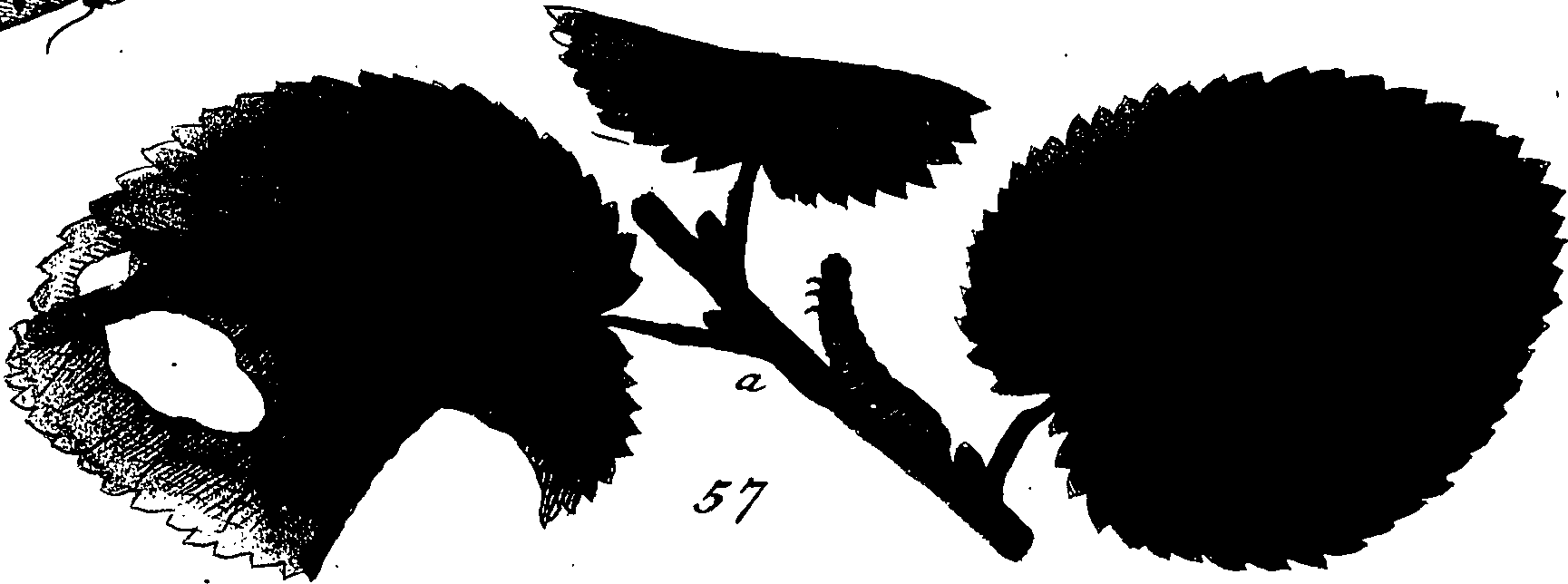 114/114760250000830_3.png