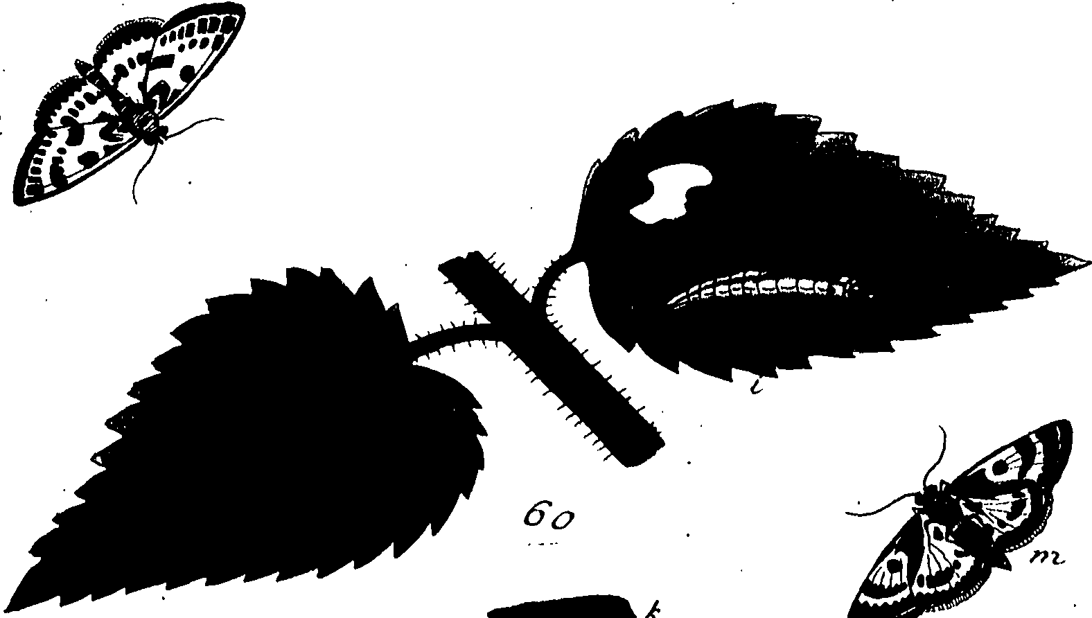 114/114760250000860_0.png