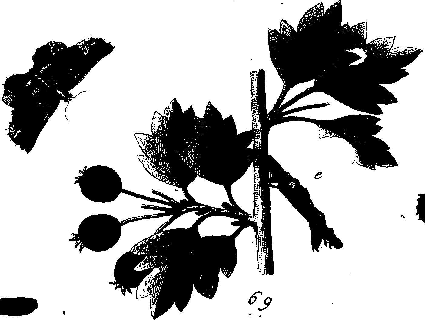 114/114760250000950_0.png