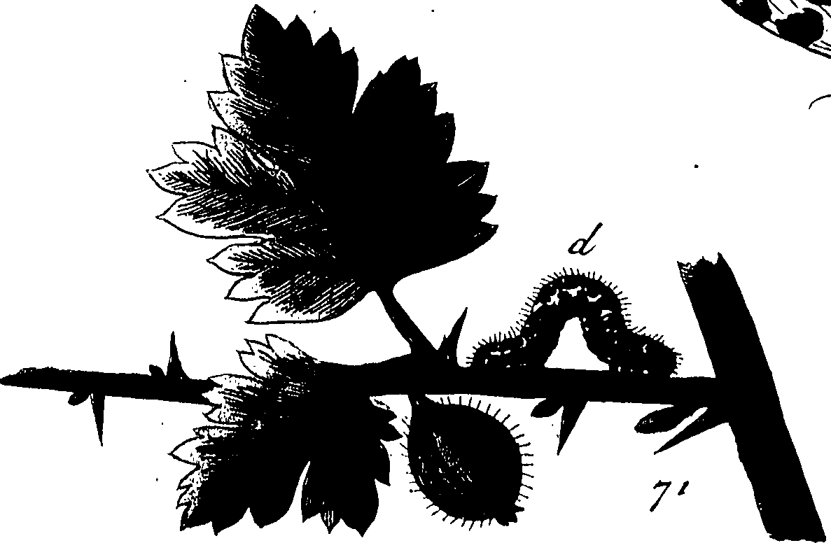 114/114760250000980_0.png