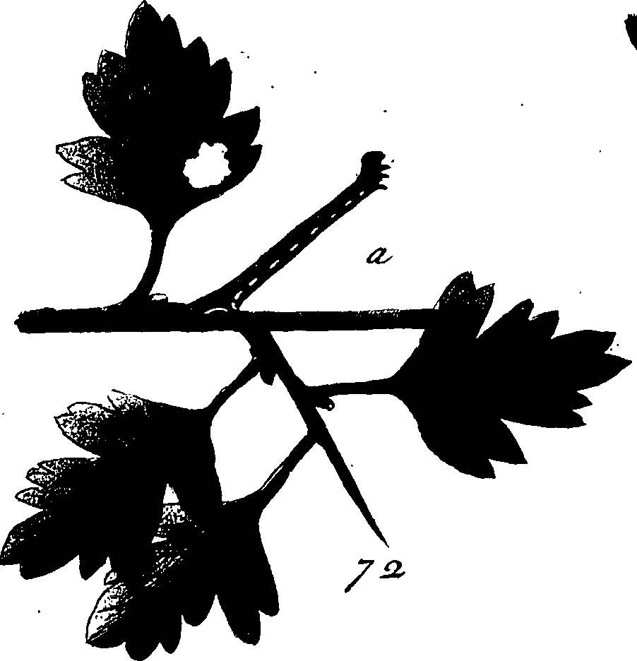 114/114760250000990_3.png