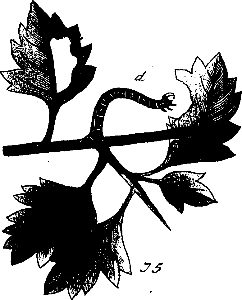 114/114760250001020_0.png