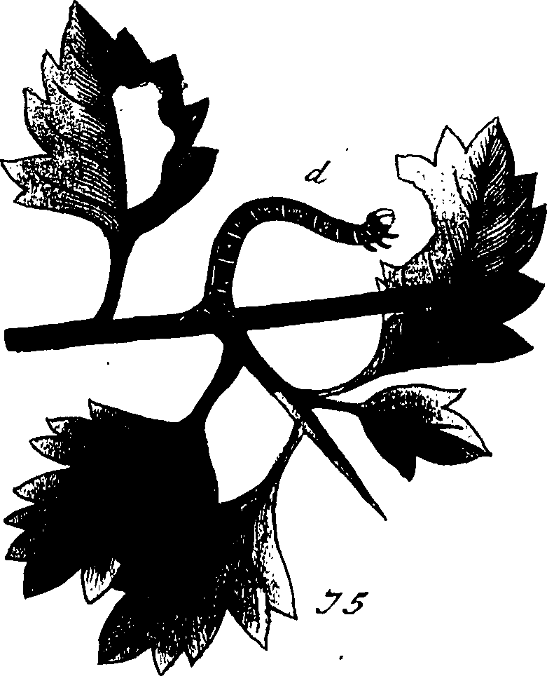 114/114760250001040_0.png