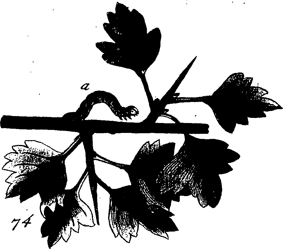 114/114760250001040_1.png