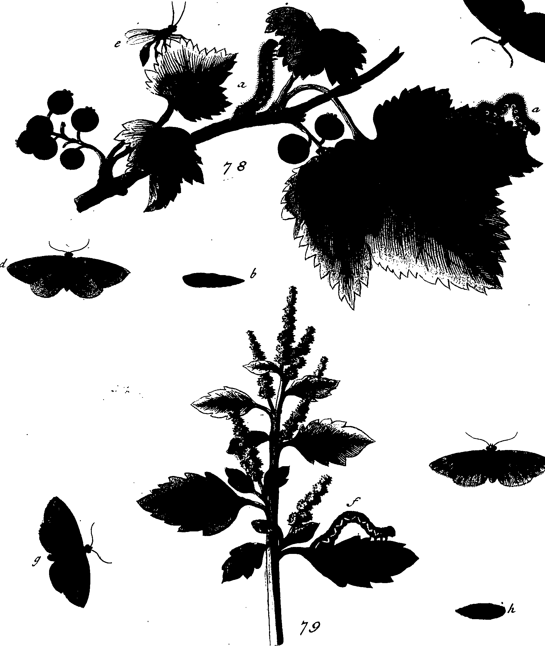 114/114760250001080_1.png