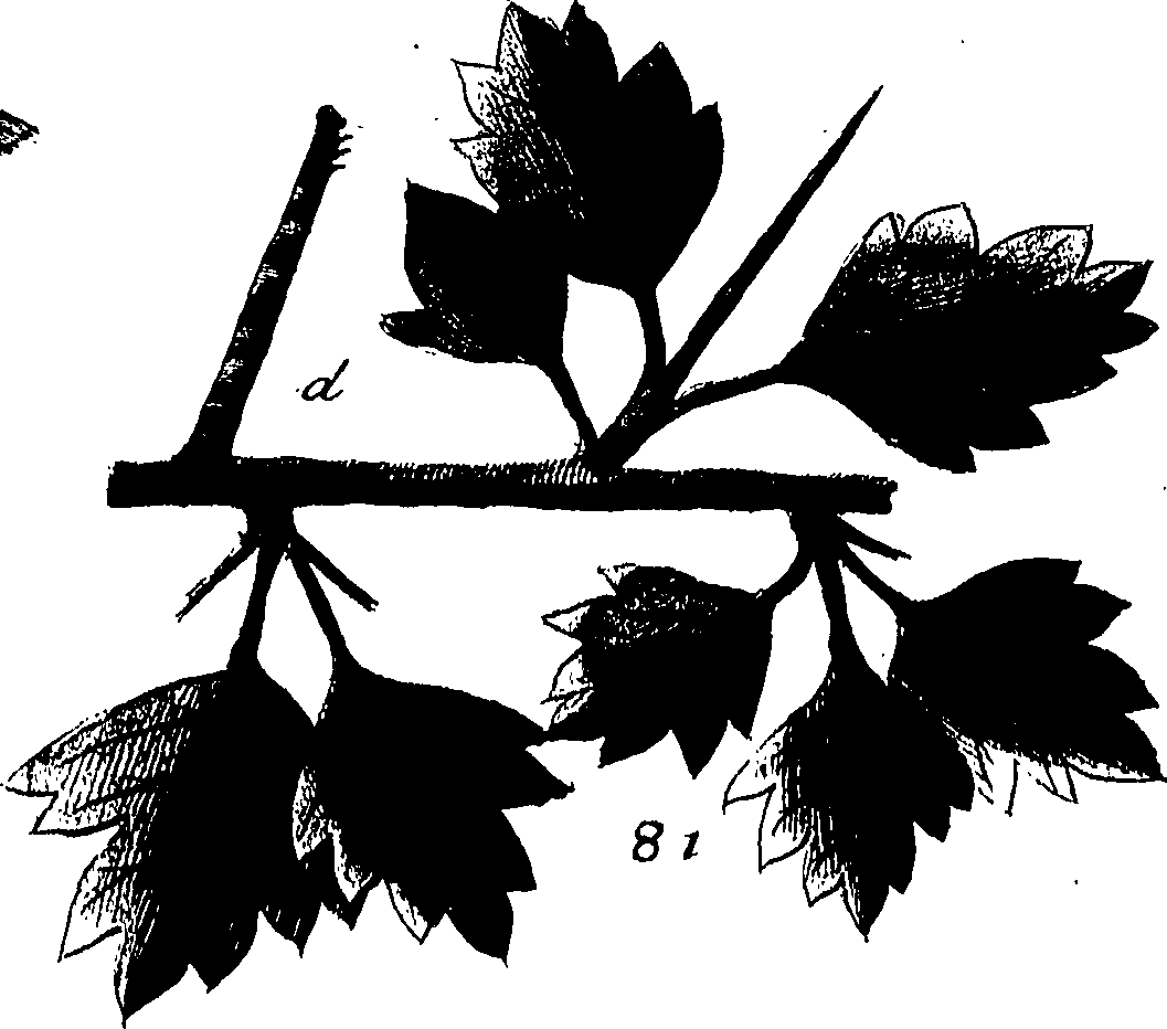 114/114760250001090_0.png
