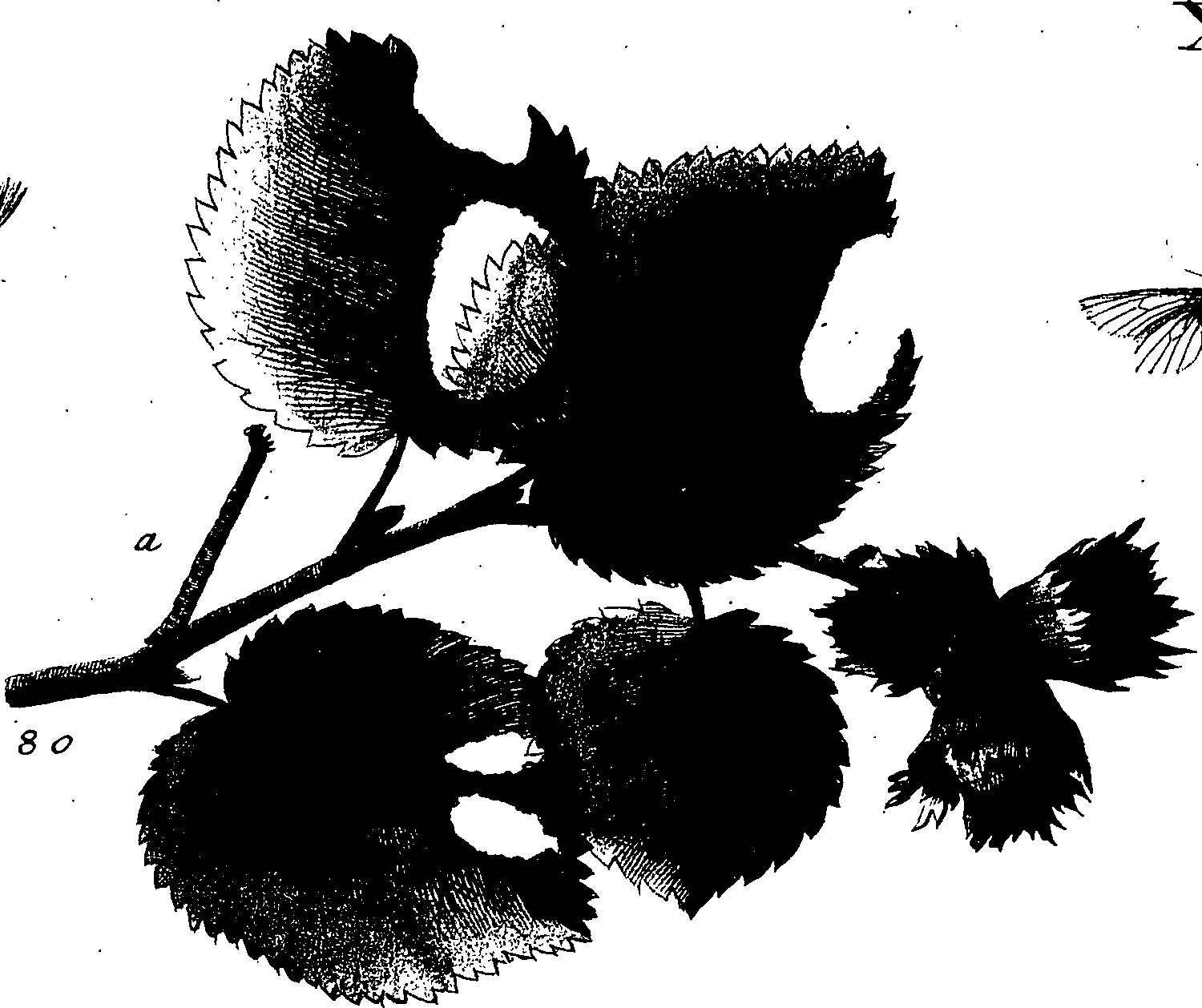 114/114760250001090_1.png