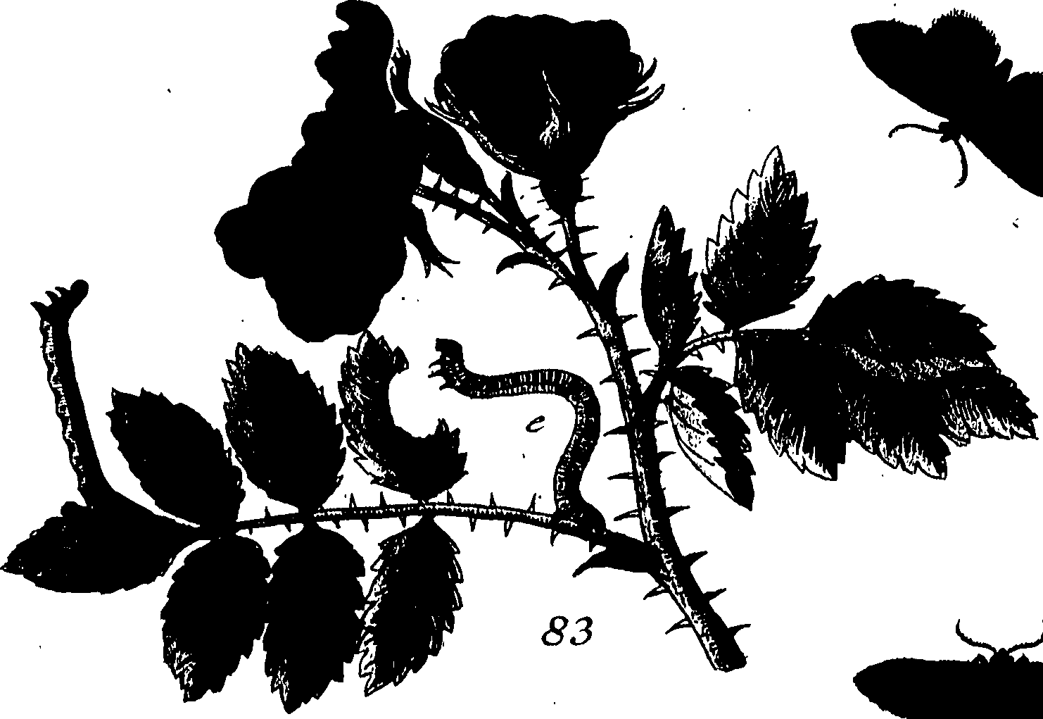 114/114760250001120_0.png