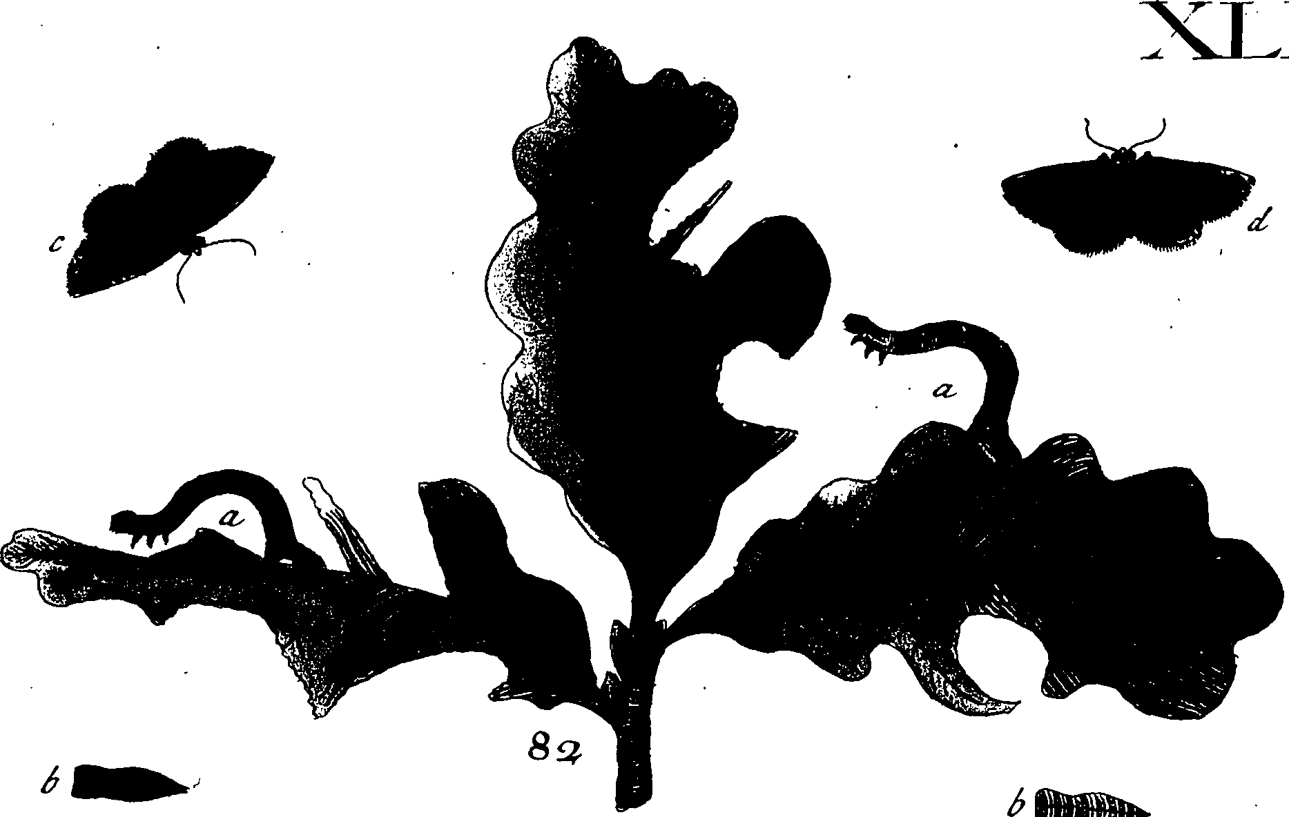 114/114760250001120_1.png