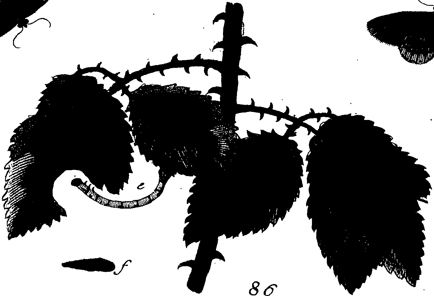 114/114760250001130_0.png