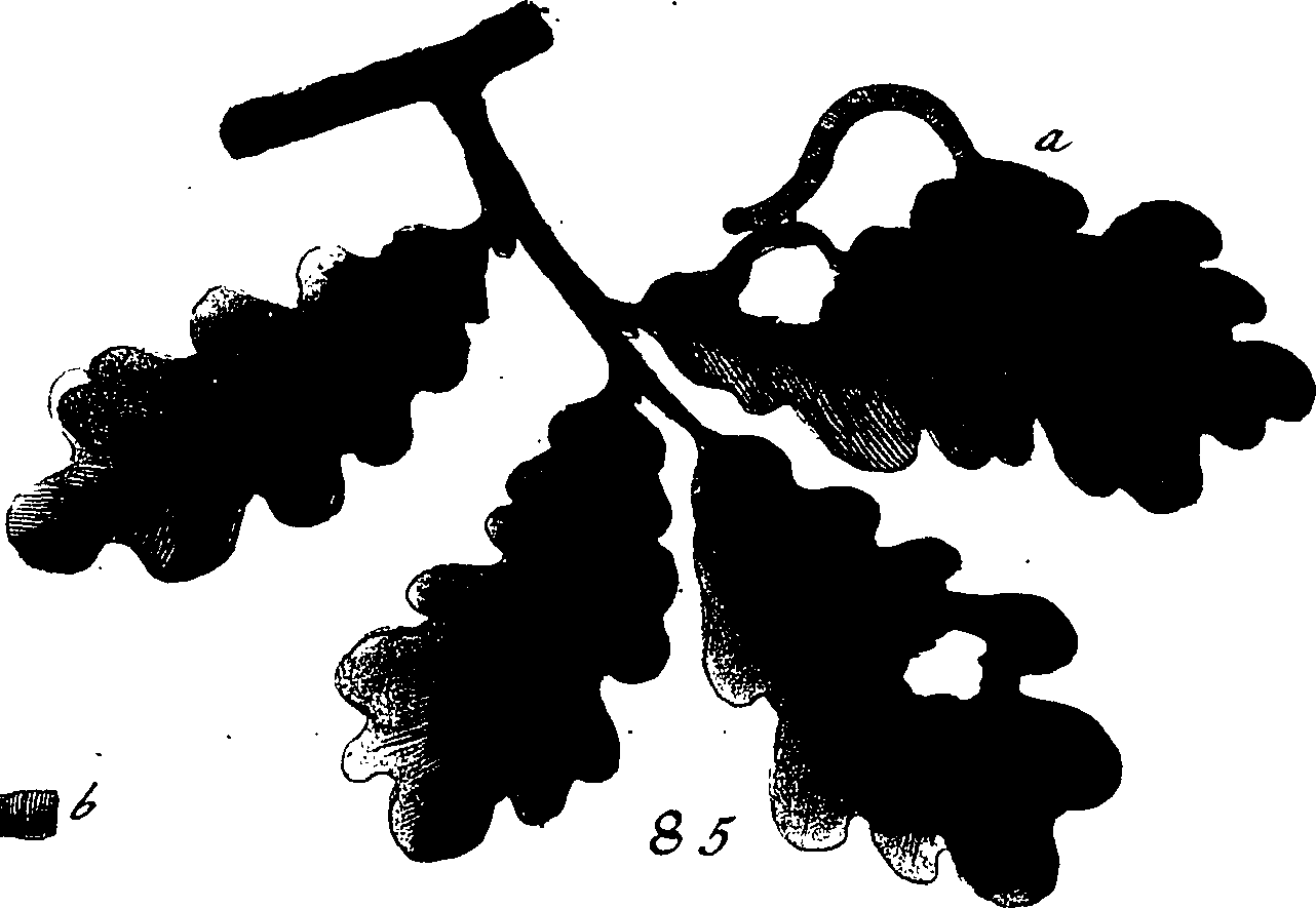 114/114760250001130_1.png