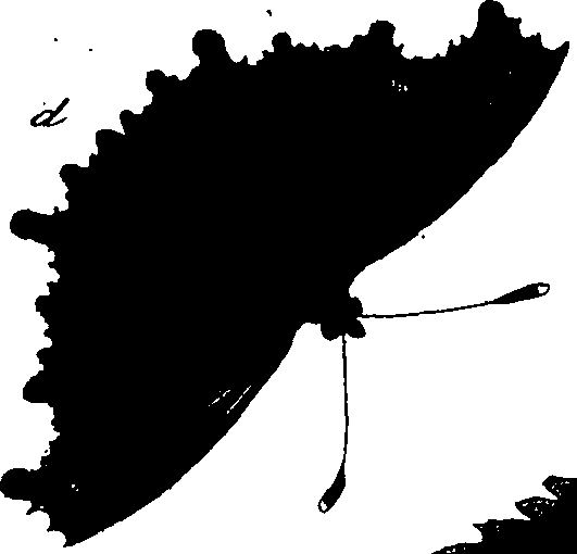 114/114760250001210_0.png