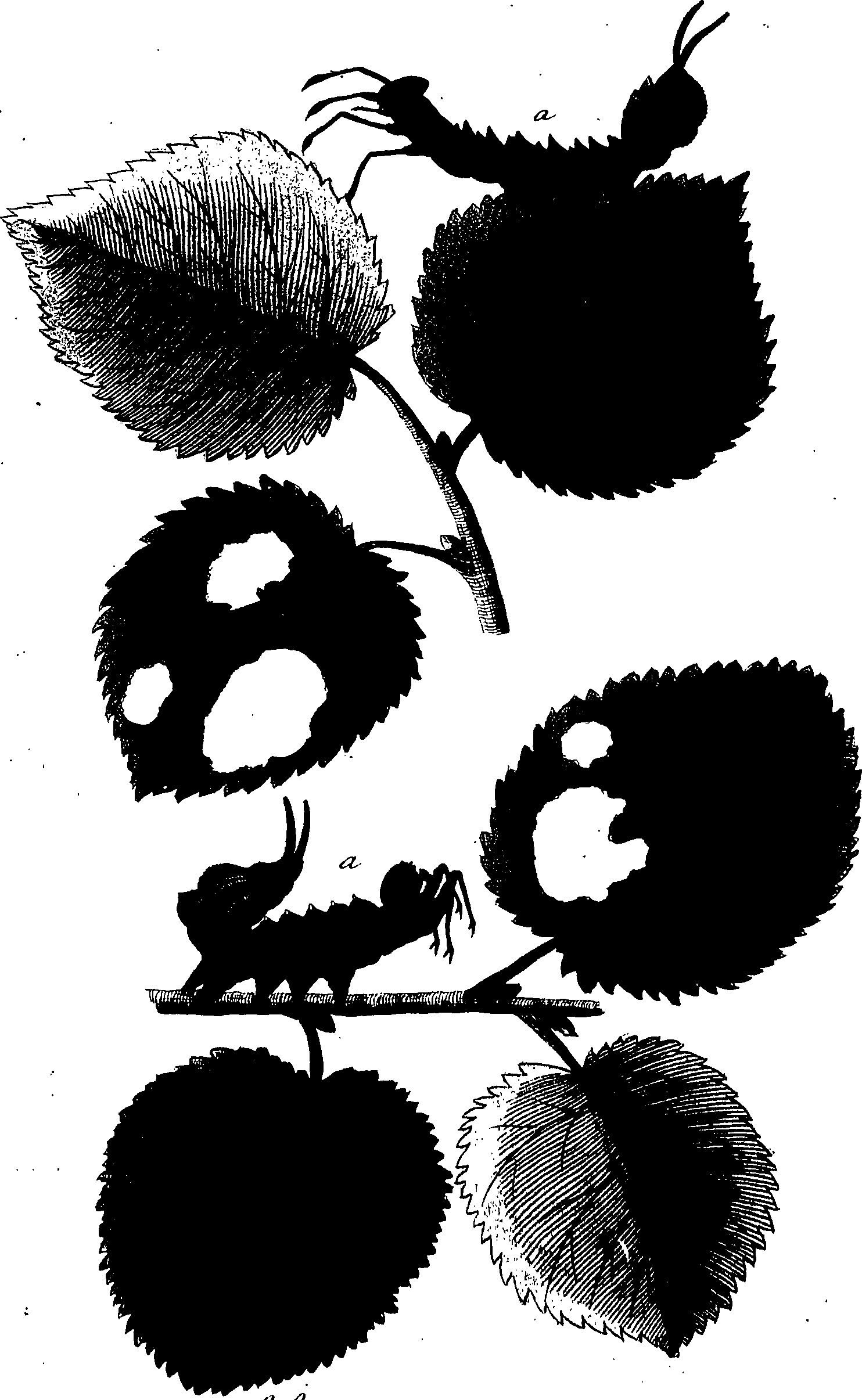 114/114760250001290_1.png