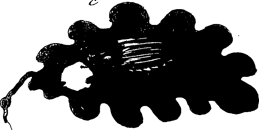 114/114760250001330_0.png