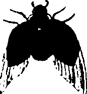 114/114760250001360_0.png