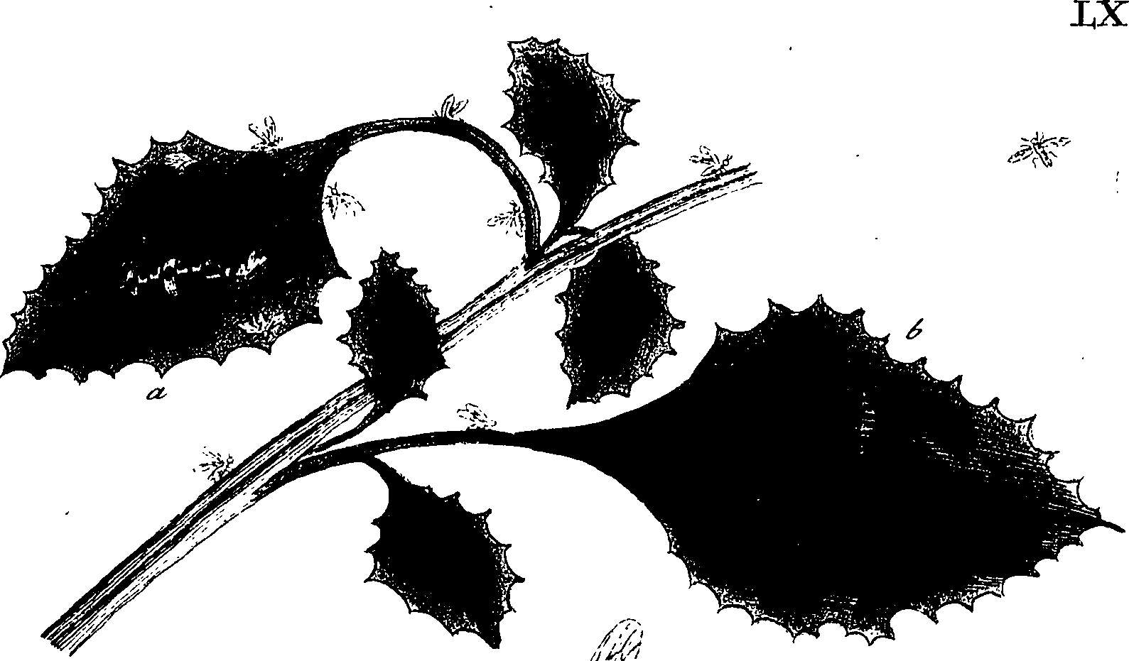 114/114760250001360_1.png
