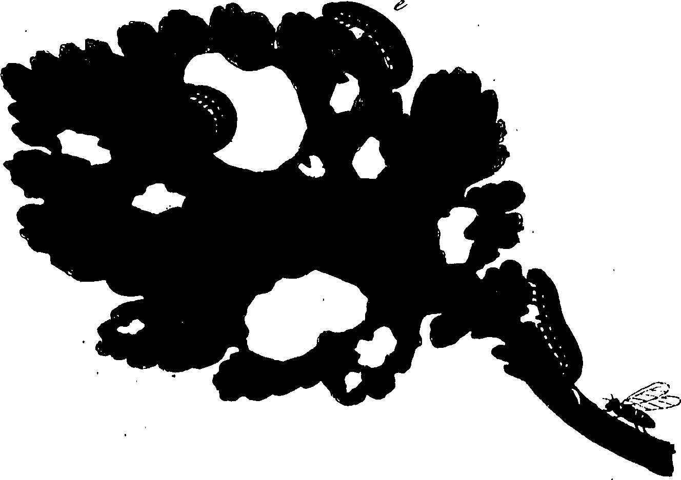 114/114760250001370_0.png