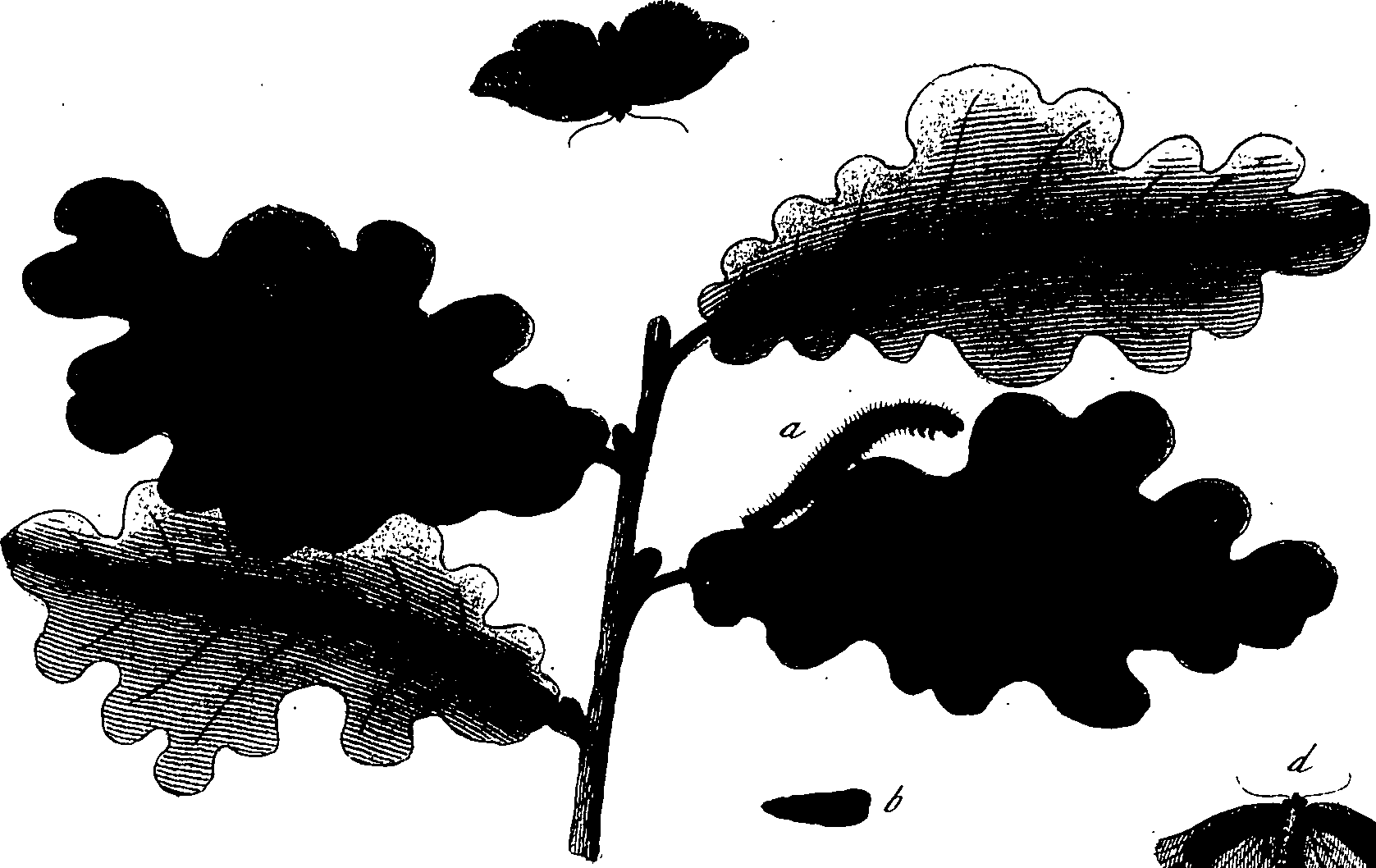 114/114760250001370_1.png