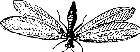 114/114760250001410_2.png