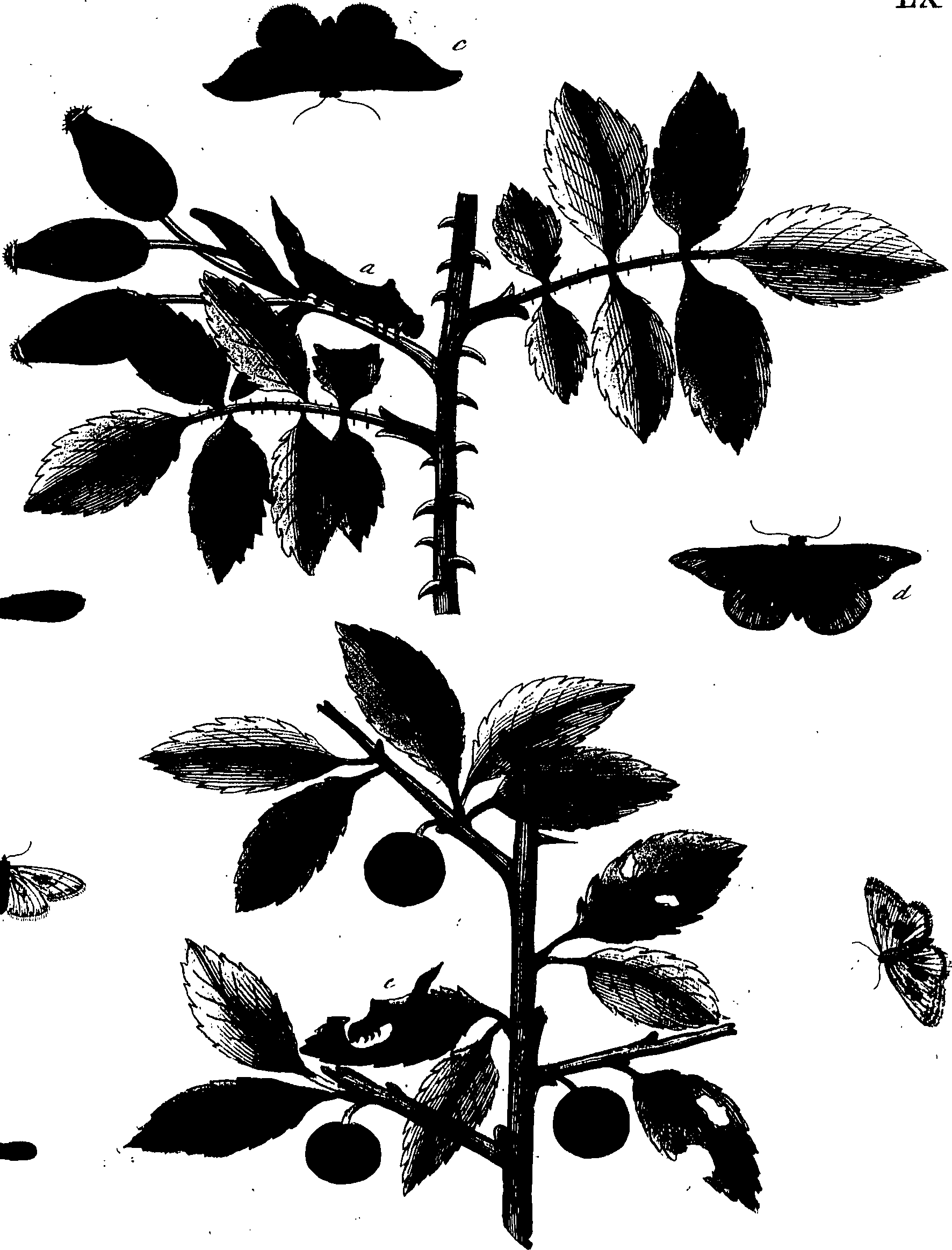 114/114760250001440_0.png