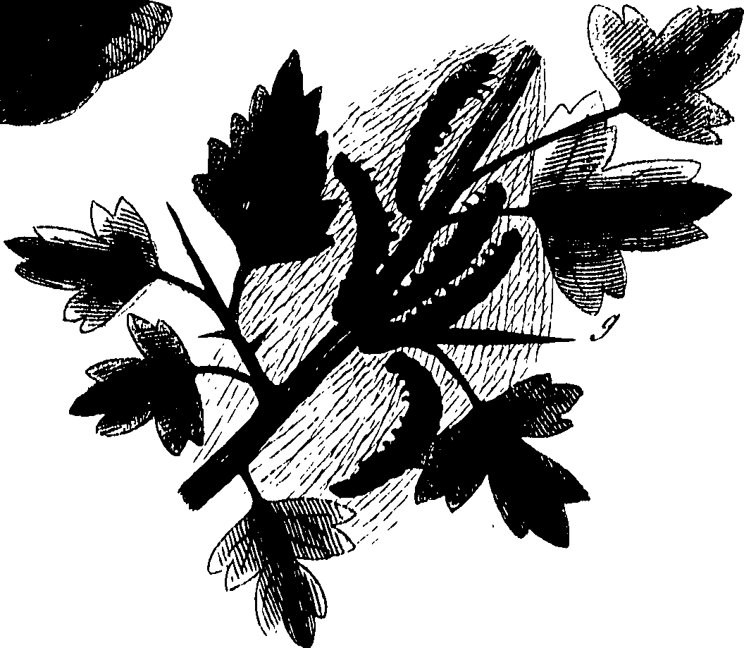 114/114760250001480_0.png