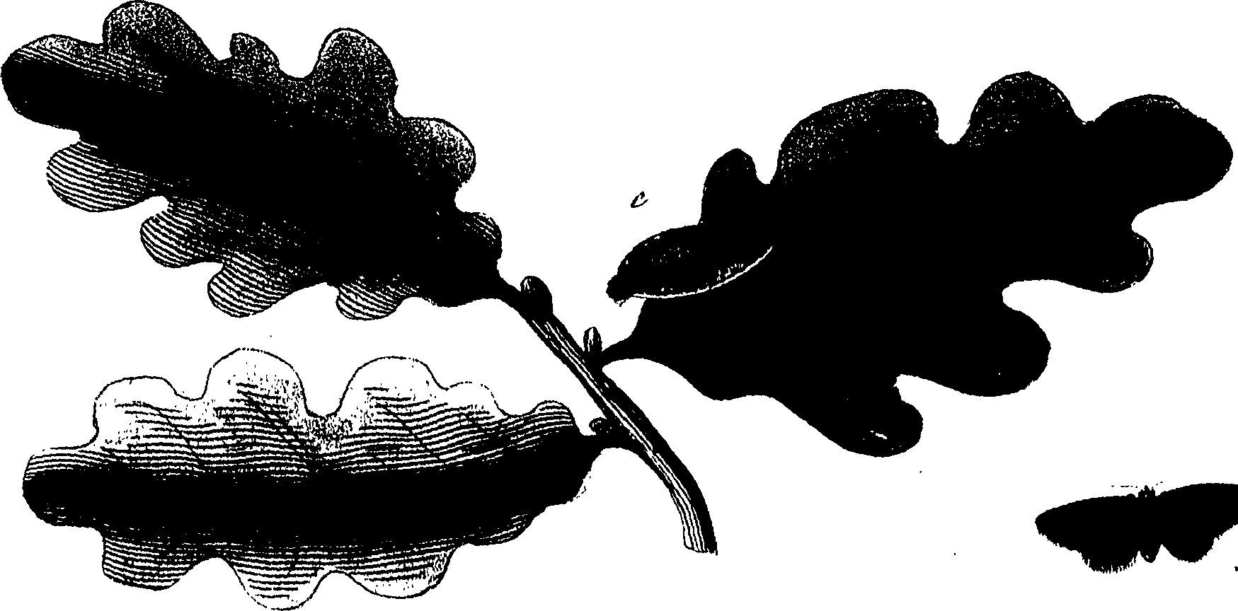 114/114760250001490_0.png