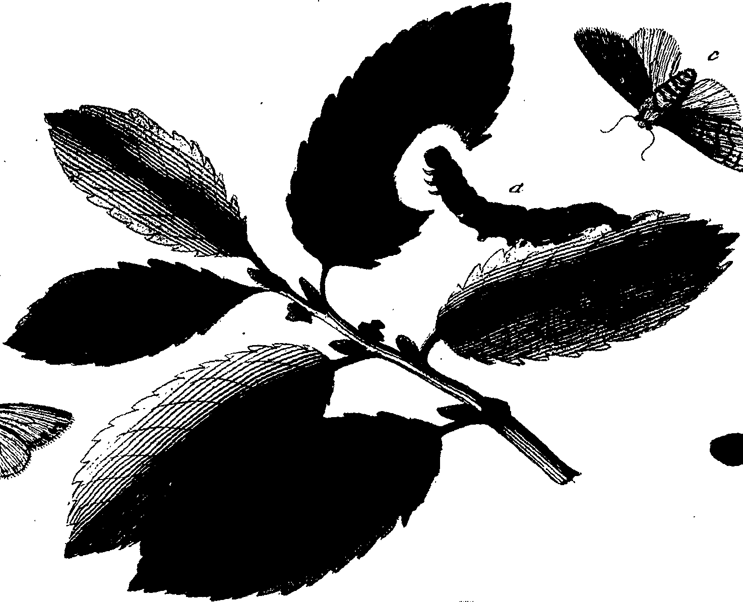 114/114760250001490_1.png