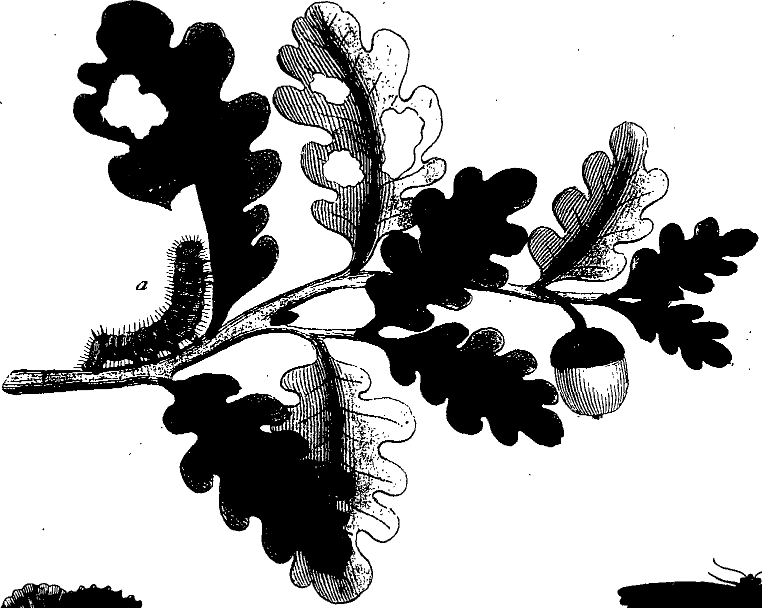 114/114760250001520_1.png