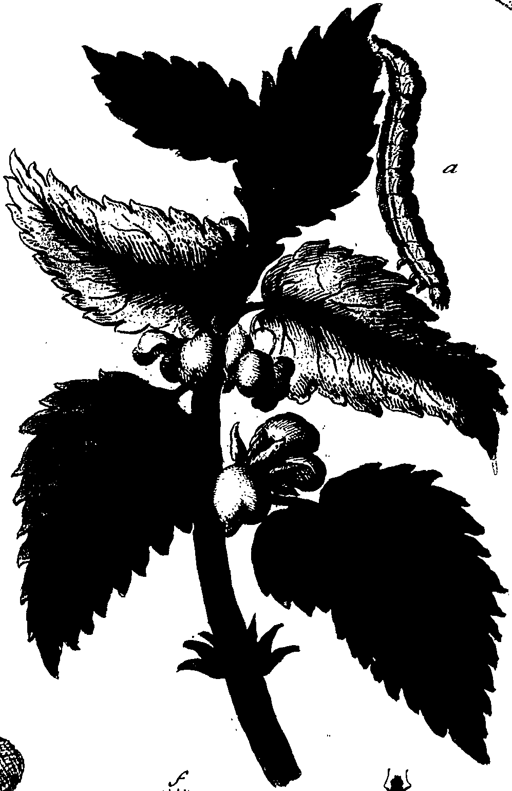 114/114760250001560_1.png