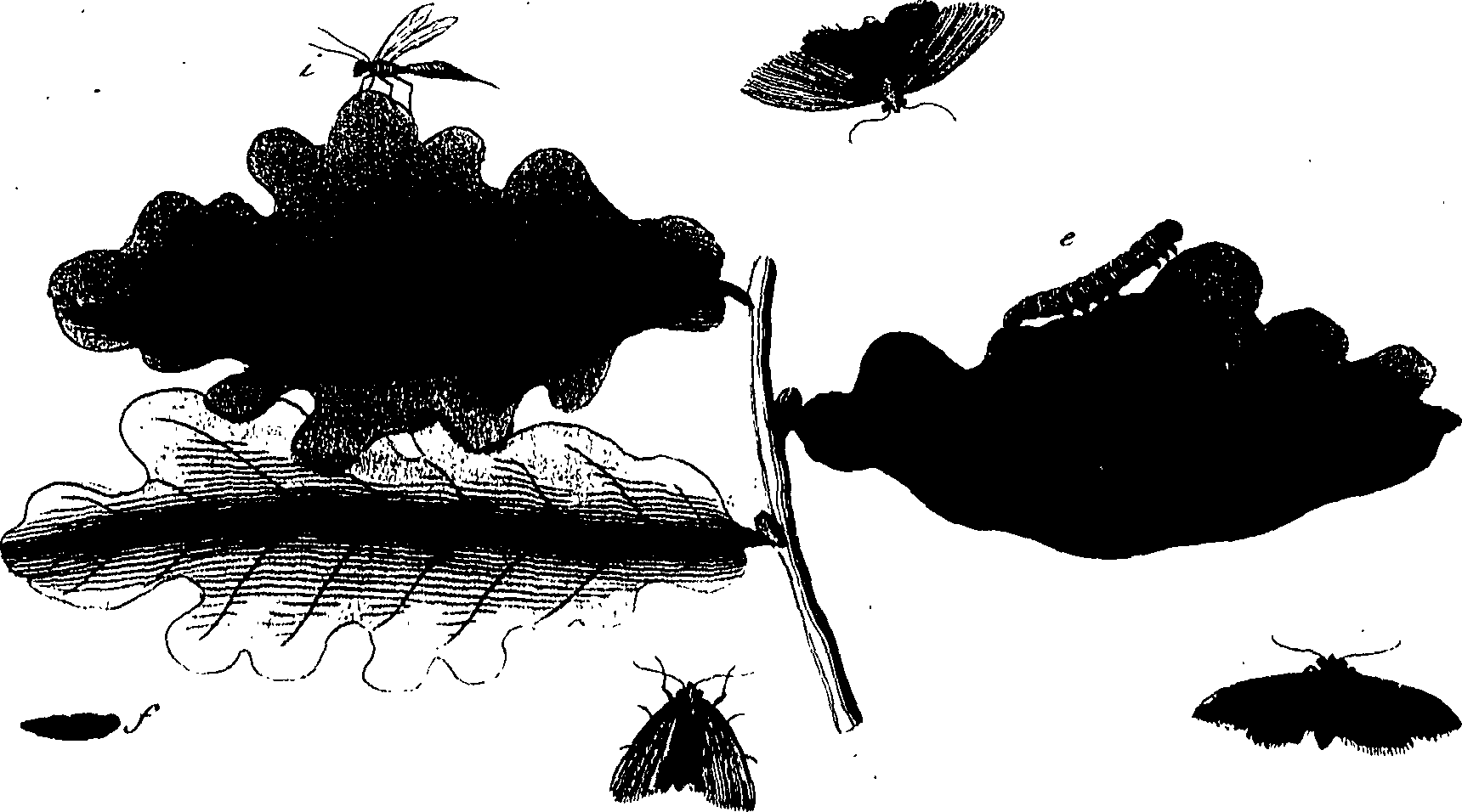 114/114760250001570_0.png