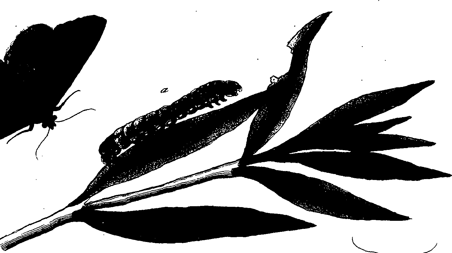 114/114760250001570_1.png