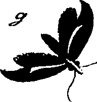 114/114760250001600_0.png