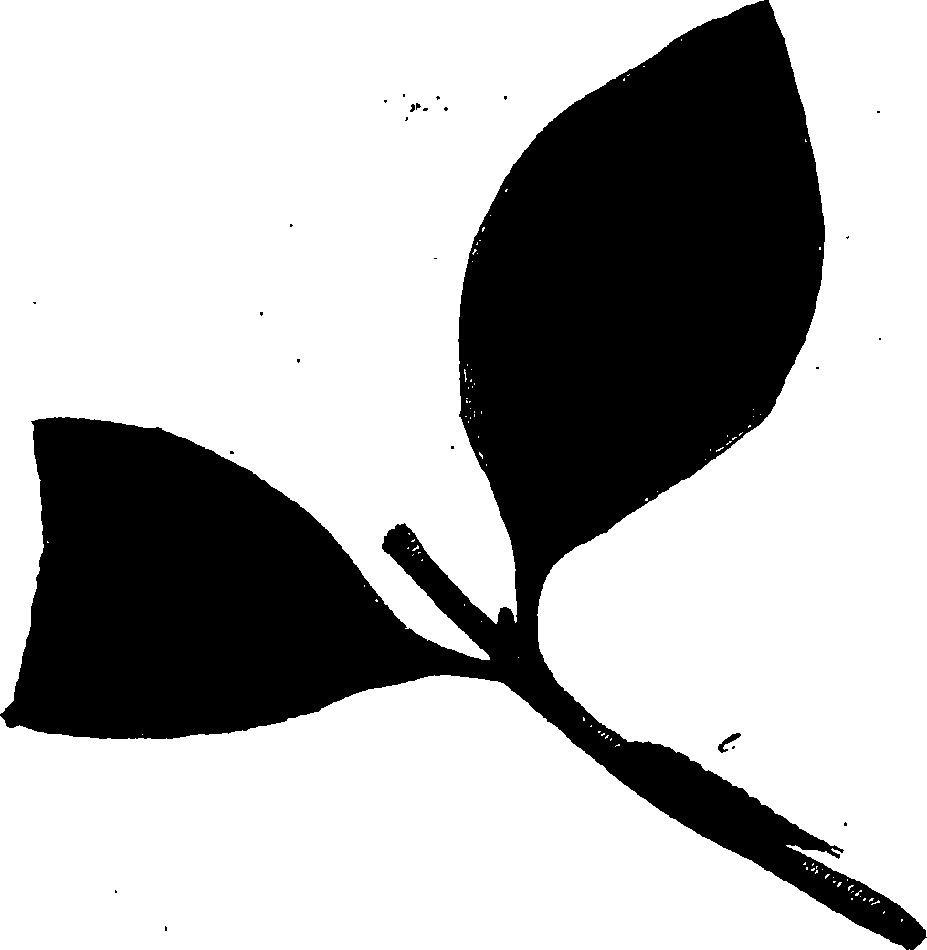 114/114760250001600_1.png