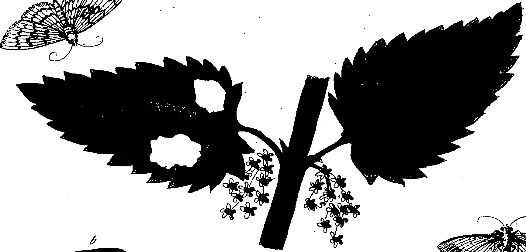 114/114760250001600_2.png