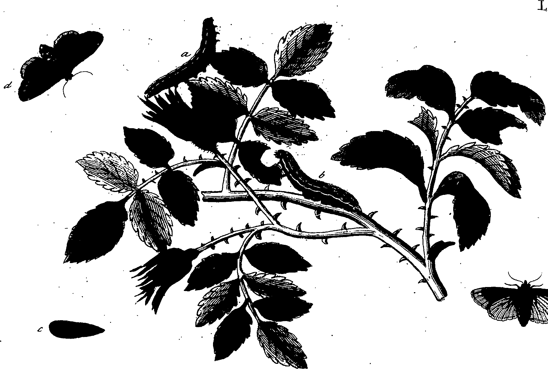 114/114760250001610_2.png