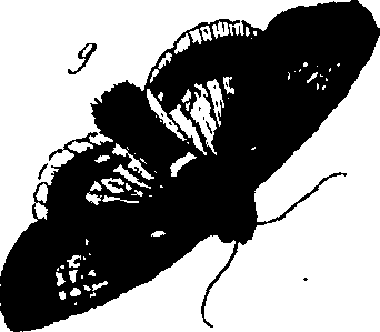 114/114760250001640_0.png