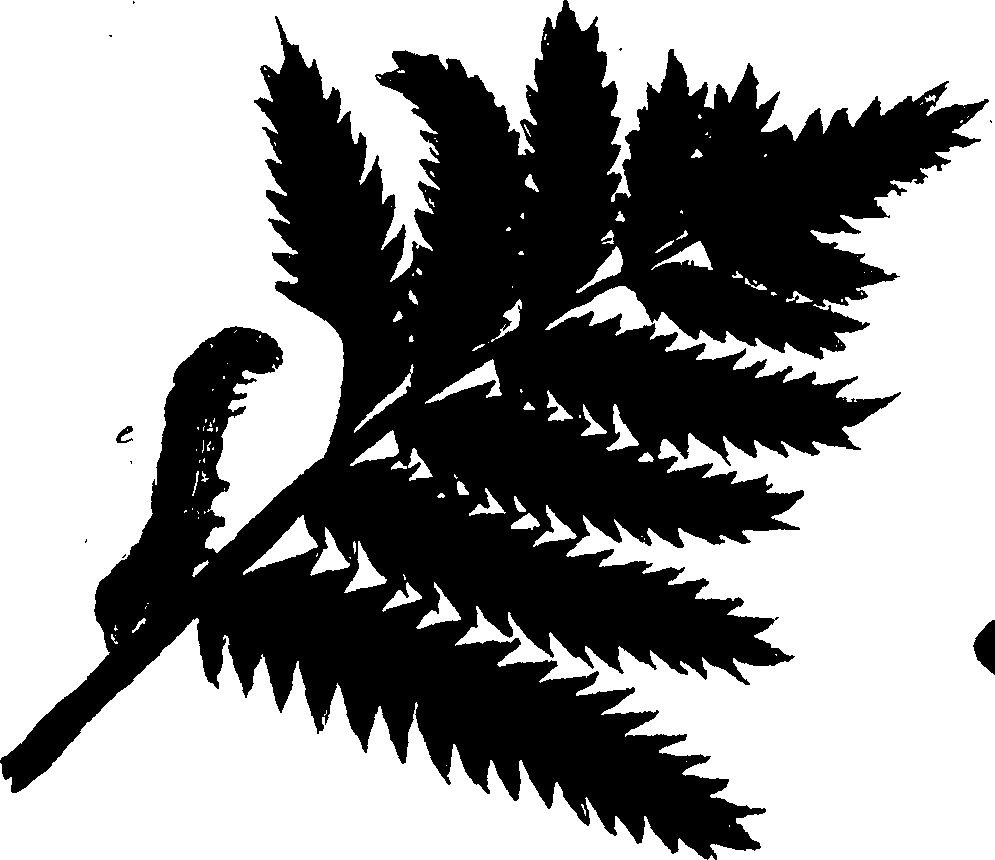 114/114760250001640_1.png