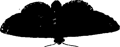 114/114760250001650_2.png