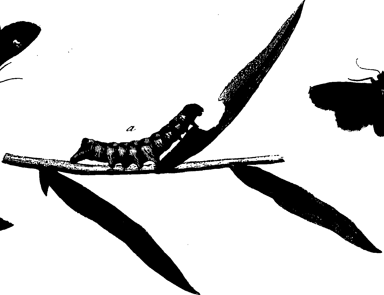 114/114760250001680_1.png