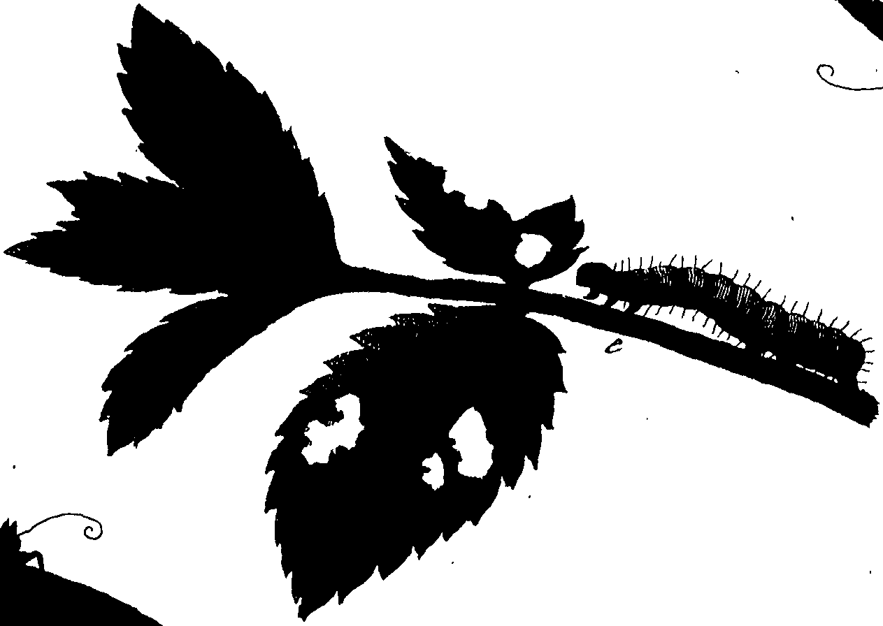 114/114760250001720_0.png