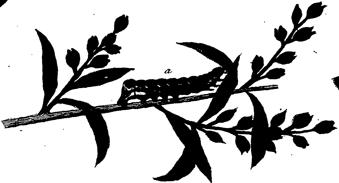 114/114760250001720_1.png