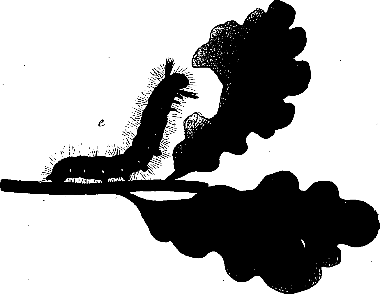 114/114760250001770_0.png