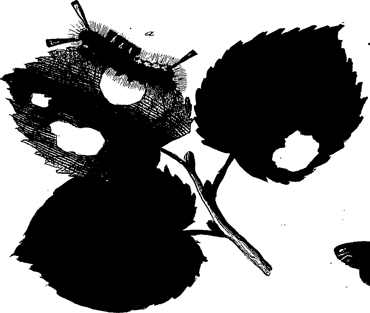 114/114760250001930_2.png