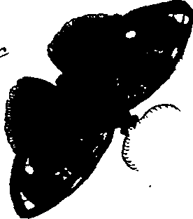 114/114760250001930_3.png