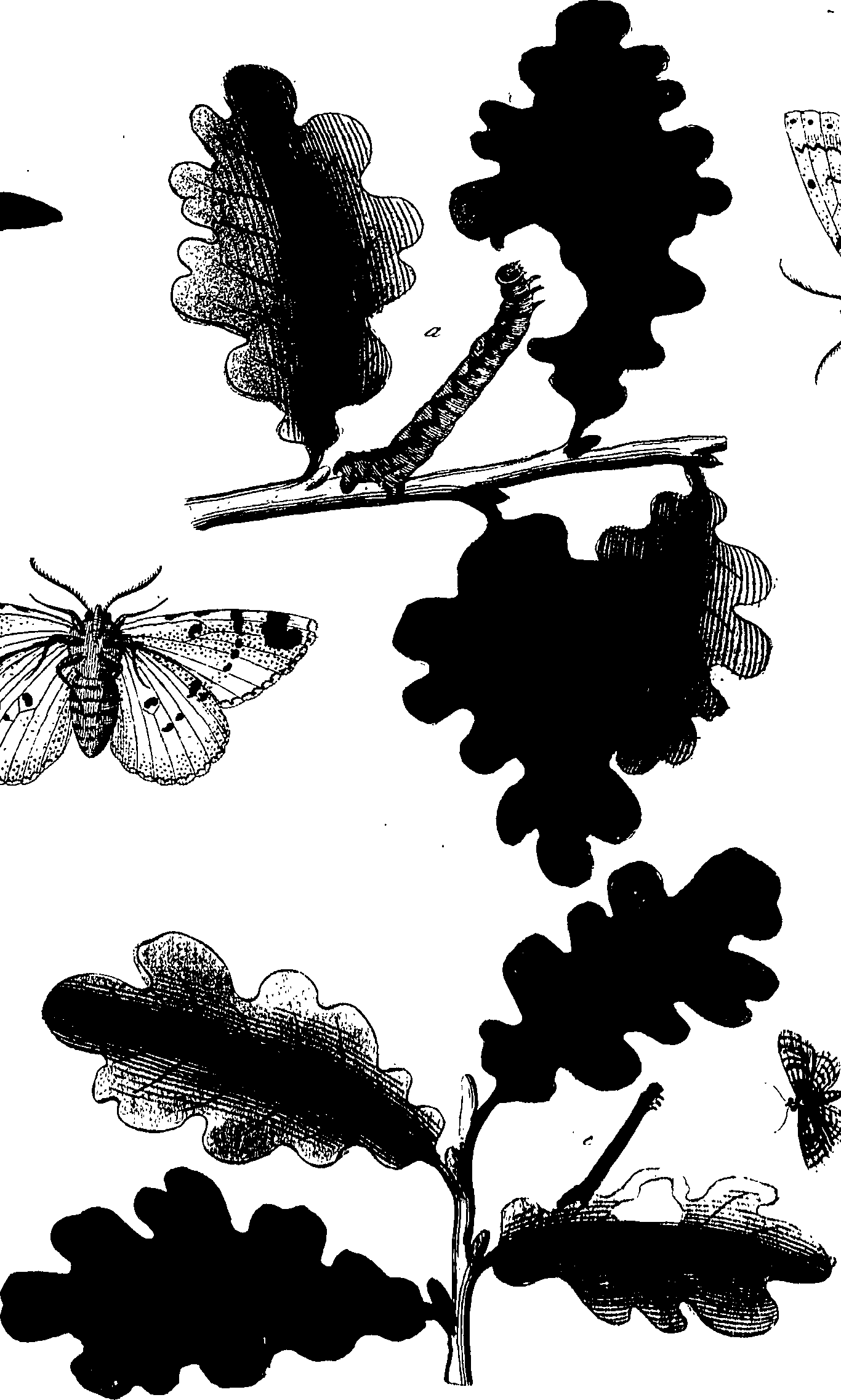 114/114760250002000_0.png