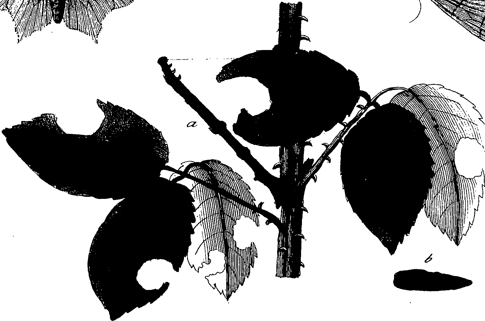 114/114760250002010_0.png