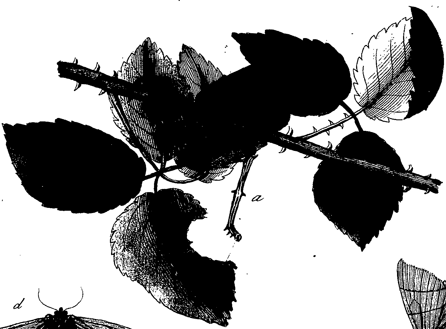 114/114760250002010_1.png