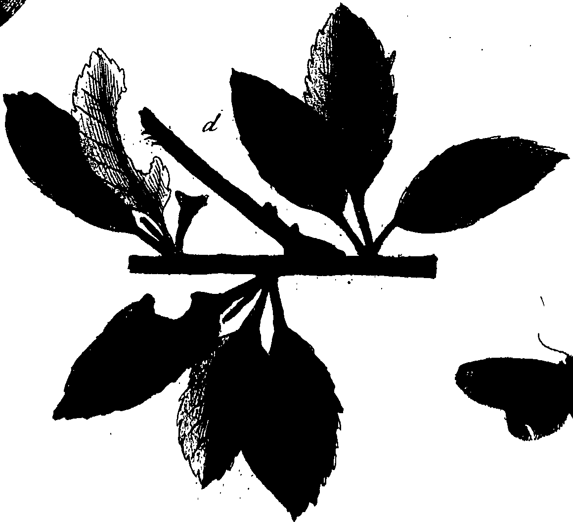 114/114760250002050_0.png